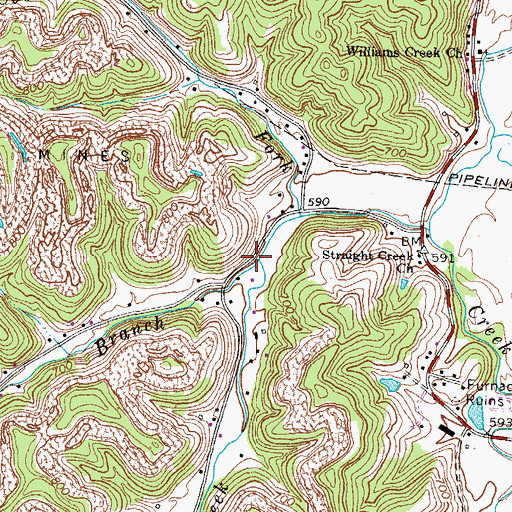 Topographic Map of Buena Vista Branch, KY