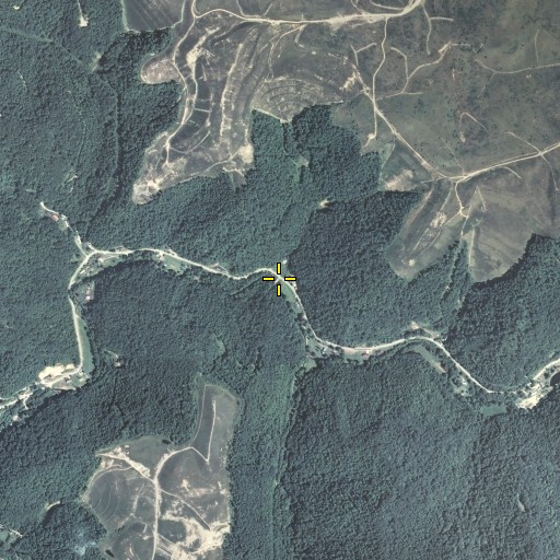 Aerial/Satellite Image of Buffalo Branch, KY