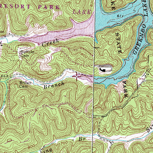 Topographic Map of Buffalo Branch, KY
