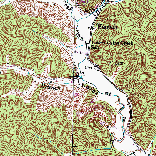 Topographic Map of Buffalo Branch, KY