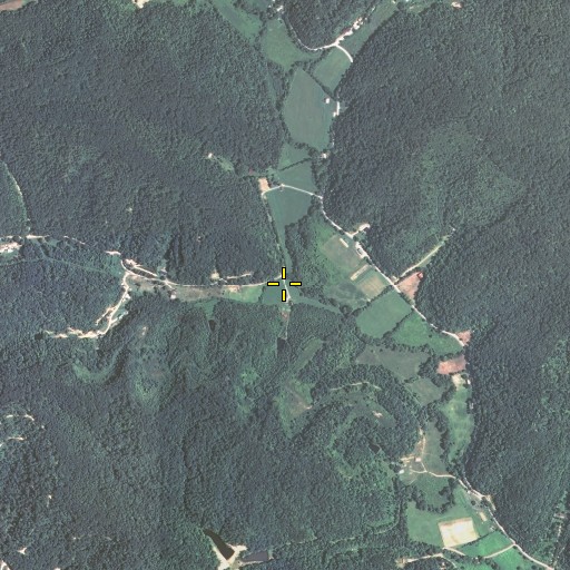Aerial/Satellite Image of Buffalo Branch, KY