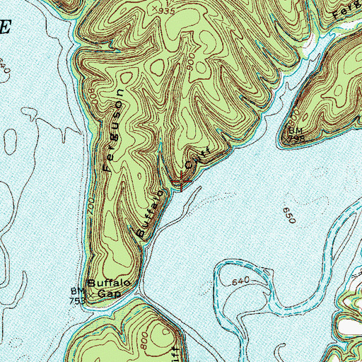 Topographic Map of Buffalo Cliff, KY