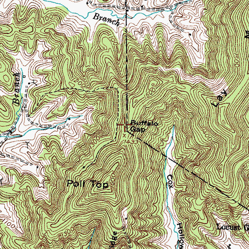 Topographic Map of Buffalo Gap, KY