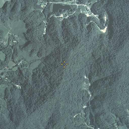 Aerial/Satellite Image of Buffalo Gap, KY