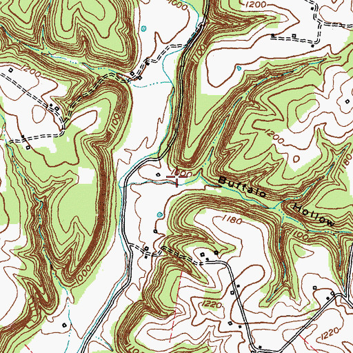 Topographic Map of Buffalo Hollow, KY