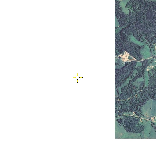 Aerial/Satellite Image of Bug, KY