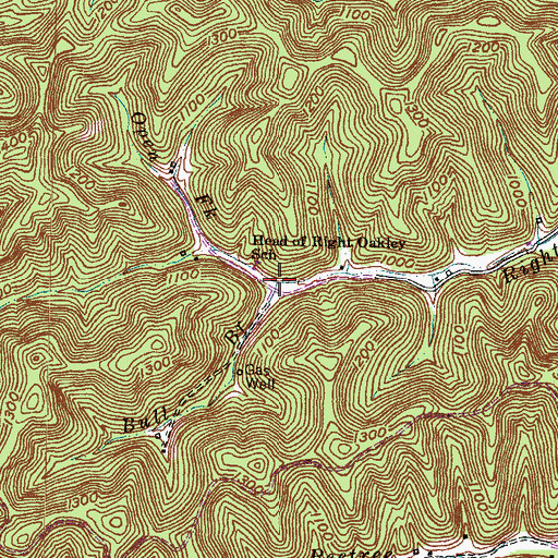 Topographic Map of Bull Branch, KY