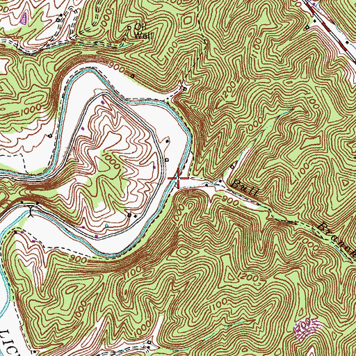 Topographic Map of Bull Branch, KY