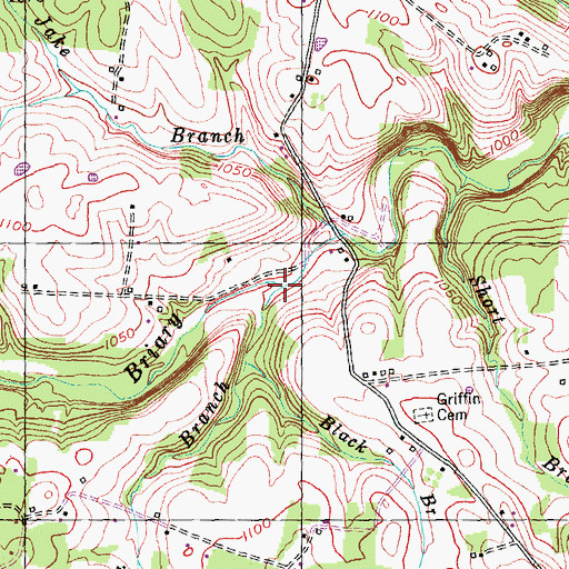 Topographic Map of Bullock Branch, KY