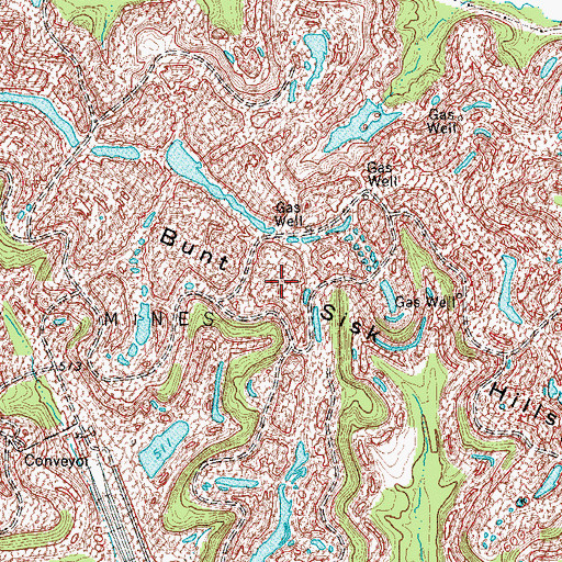 Topographic Map of Bunt Sisk Hills, KY