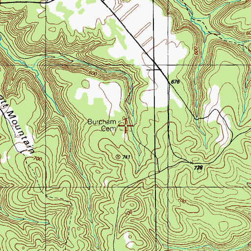Topographic Map of Burcham Cemetery, KY