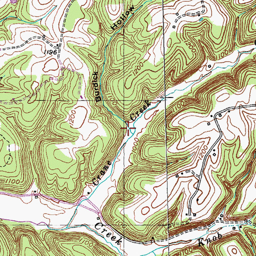 Topographic Map of Burdlick Hollow, KY