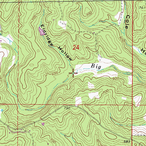 Topographic Map of Eldridge Hollow, AR