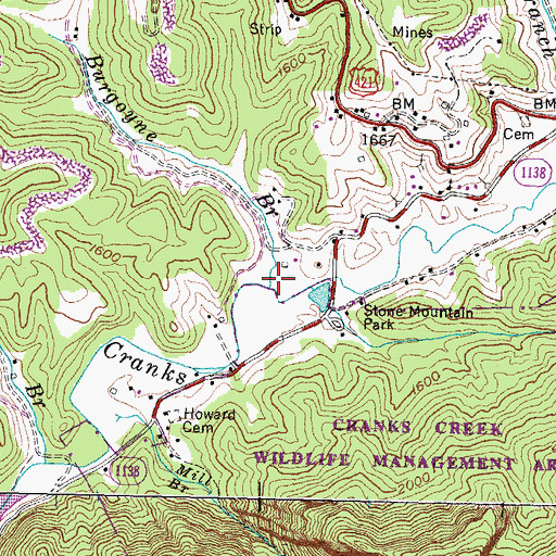 Topographic Map of Burgoyne Branch, KY