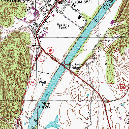 Topographic Map of Burkesville Bridge, KY