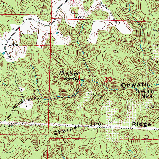 Topographic Map of Elephant Spring, AR