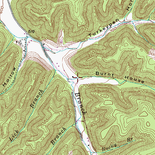 Topographic Map of Burnt House Hollow, KY