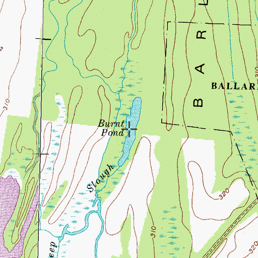 Topographic Map of Burnt Pond, KY