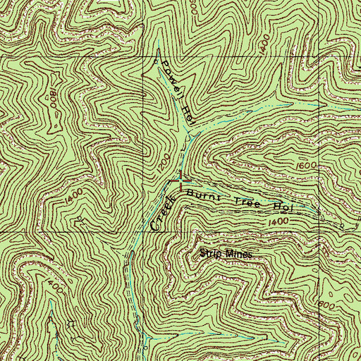Topographic Map of Burnt Tree Hollow, KY
