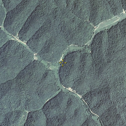 Aerial/Satellite Image of Burton Fork, KY