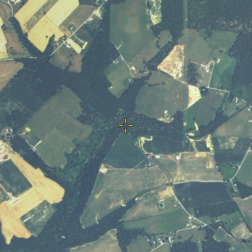 Aerial/Satellite Image of Butt Branch, KY