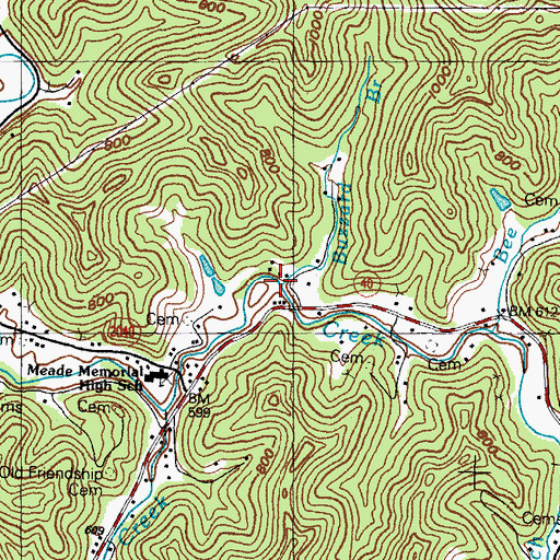 Topographic Map of Buzzard Branch, KY