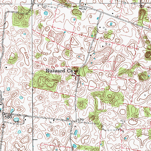 Topographic Map of Buzzard Cave, KY