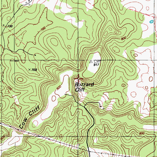 Topographic Map of Buzzard Cliff, KY