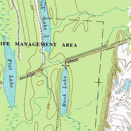 Topographic Map of Buzzard Creek, KY