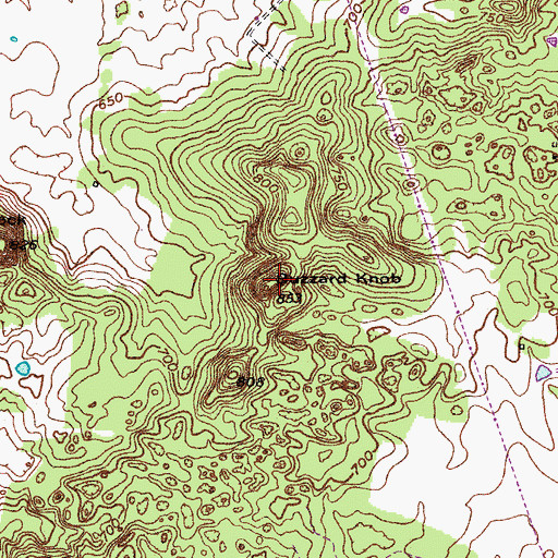 Topographic Map of Buzzard Knob, KY