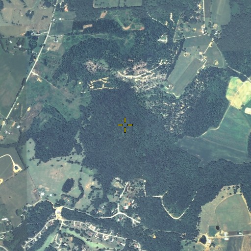 Aerial/Satellite Image of Buzzard Knob, KY