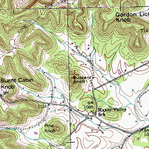Topographic Map of Buzzard Knob, KY