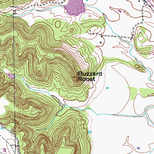 Topographic Map of Buzzard Roost, KY