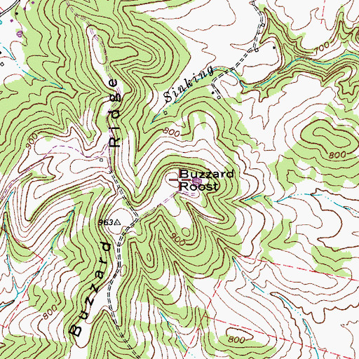 Topographic Map of Buzzard Roost, KY