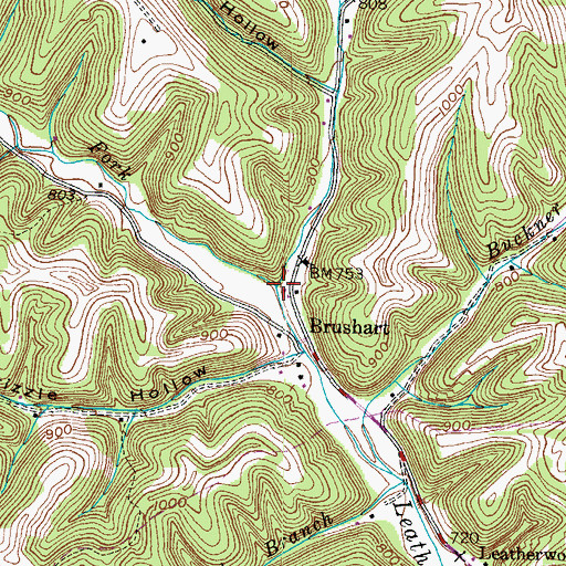 Topographic Map of Buzzard Roost Fork, KY