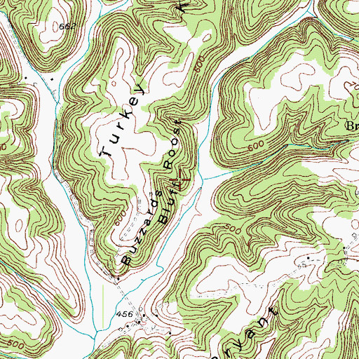 Topographic Map of Buzzards Roost Bluff, KY