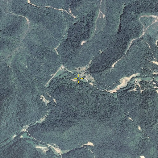 Aerial/Satellite Image of Cabin Log Branch, KY