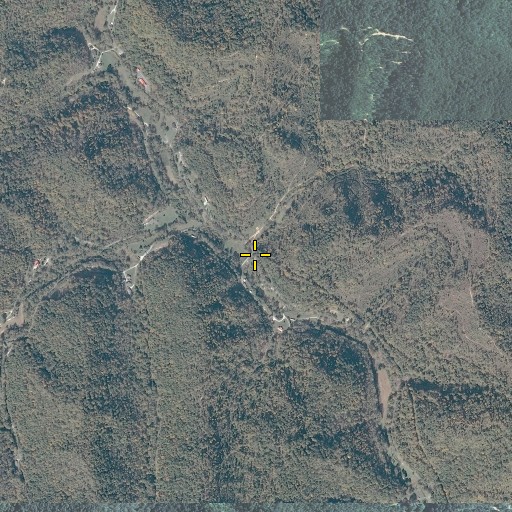 Aerial/Satellite Image of Cainer Branch, KY