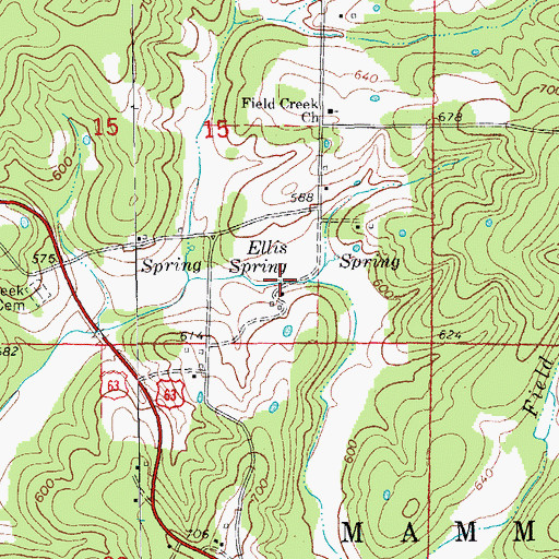 Topographic Map of Ellis Spring, AR