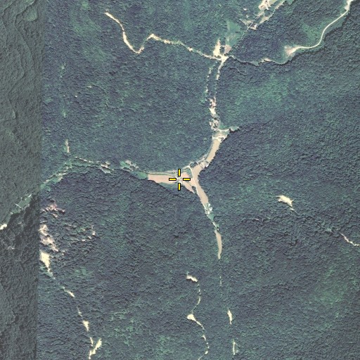 Aerial/Satellite Image of Camp Branch, KY