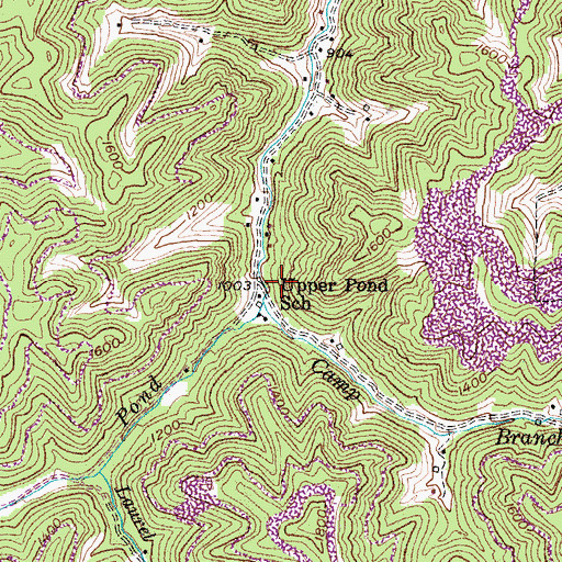 Topographic Map of Camp Branch, KY