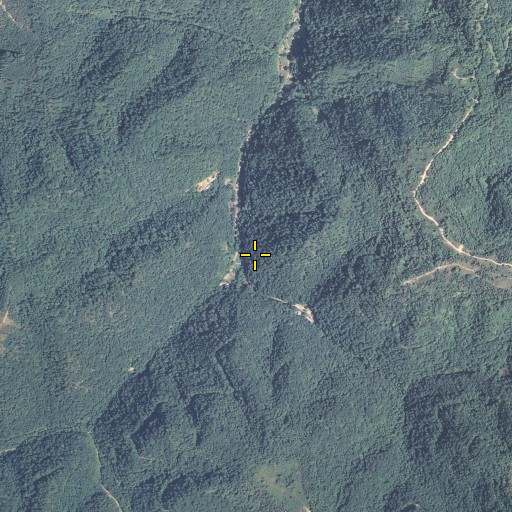Aerial/Satellite Image of Camp Branch, KY