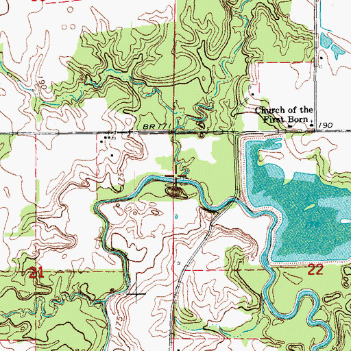 Topographic Map of Elm Branch, AR
