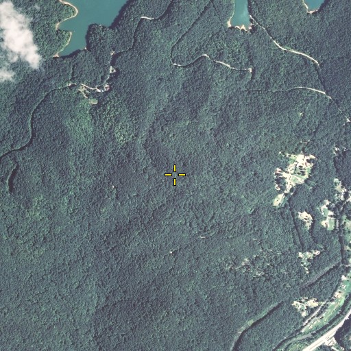 Aerial/Satellite Image of Canada Mountain, KY