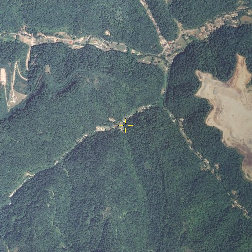 Aerial/Satellite Image of Cane Branch, KY