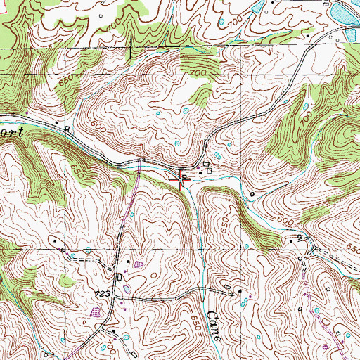 Topographic Map of Cane Run, KY