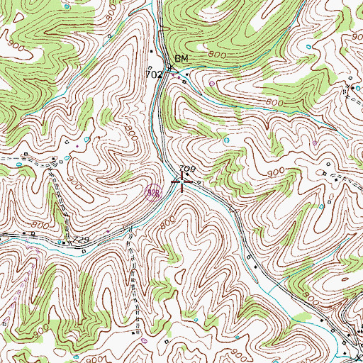 Topographic Map of Cane Run, KY