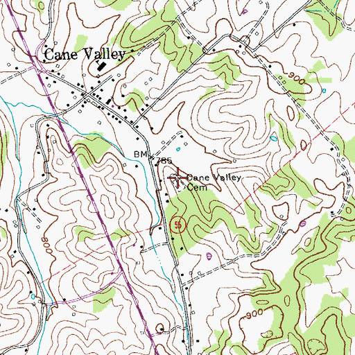 Topographic Map of Cane Valley Cemetery, KY
