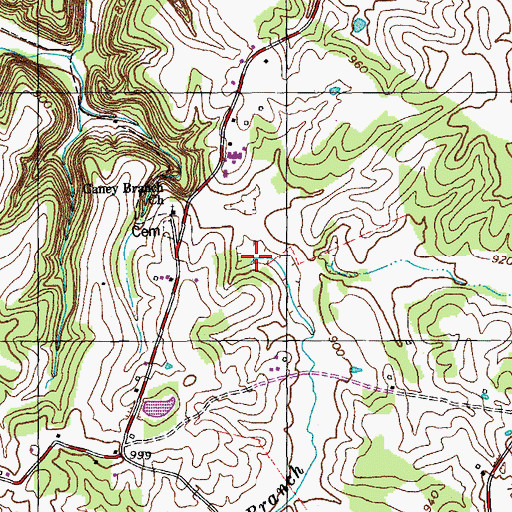 Topographic Map of Caney Branch, KY