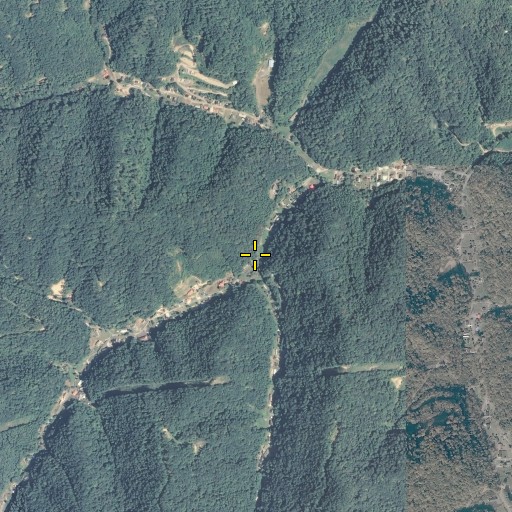 Aerial/Satellite Image of Caney Fork, KY